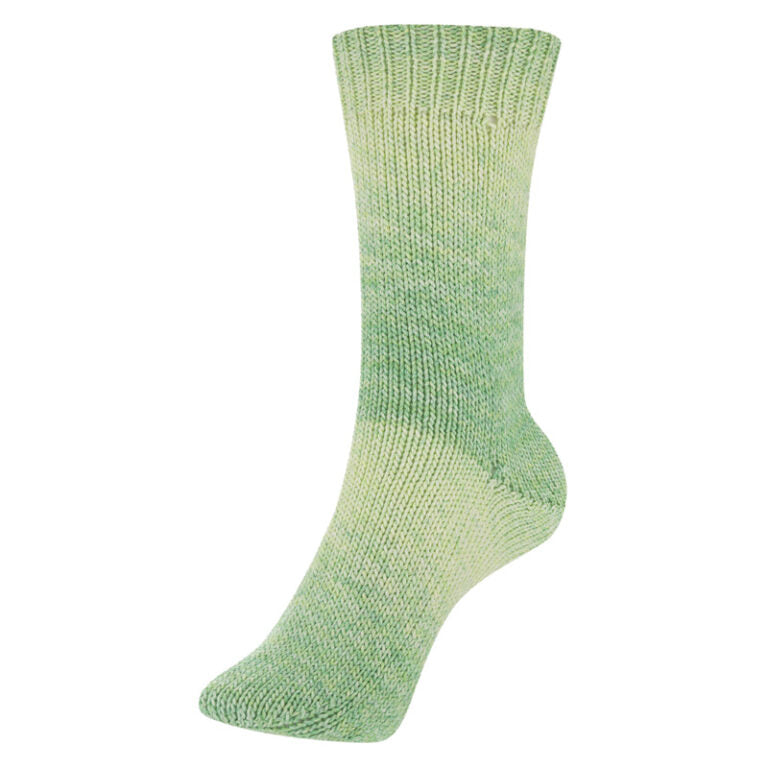 Fortissima Cotton - Laine à chaussettes