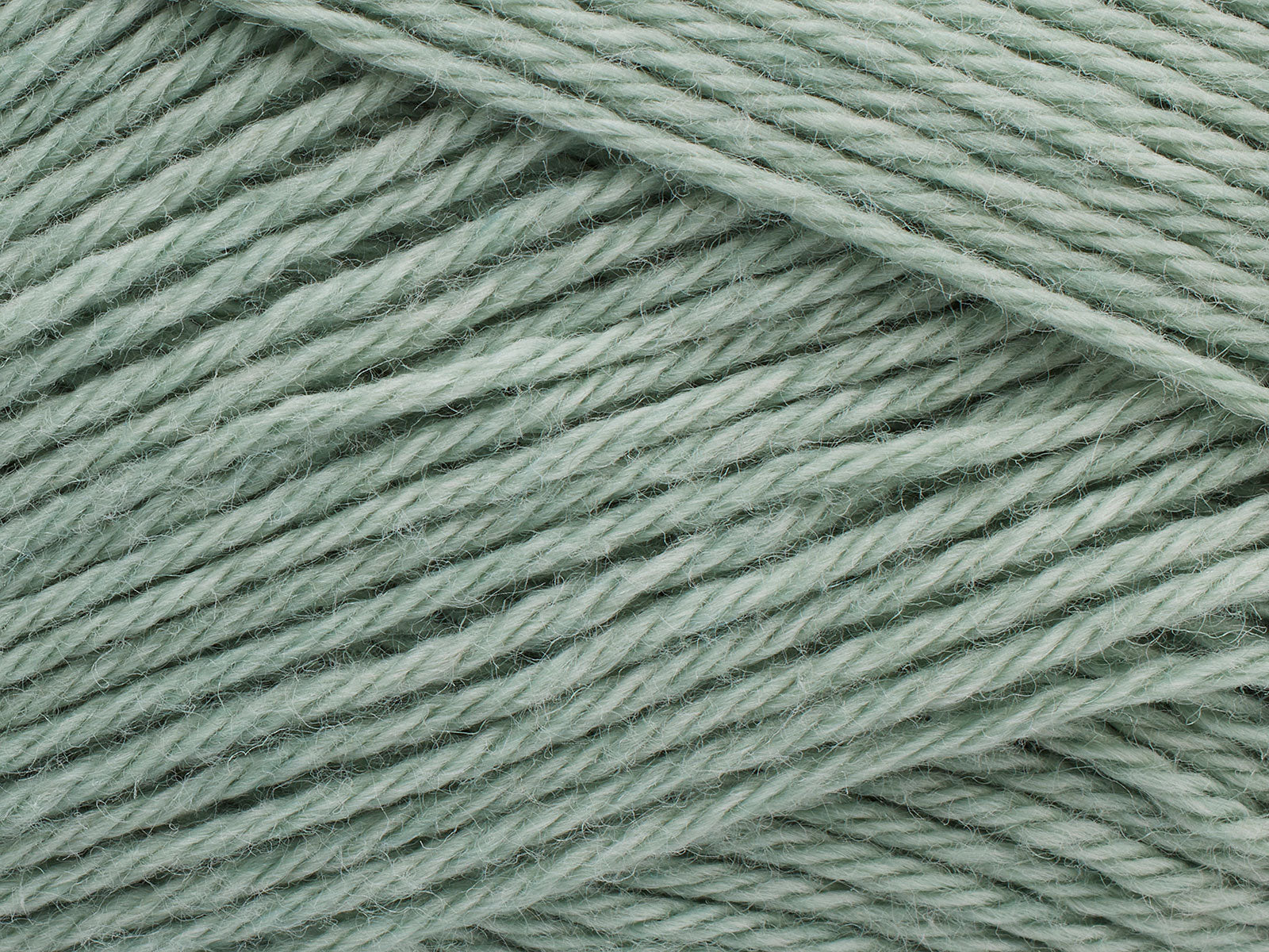 1390 Salvia