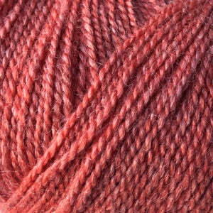 216 Coral