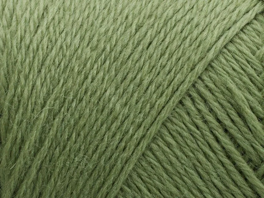 243 Basswood Green