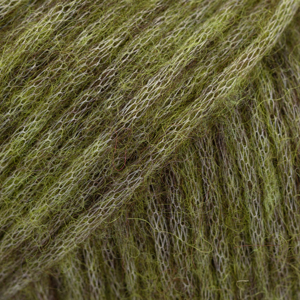 46 Olive foncé NOUVEAU