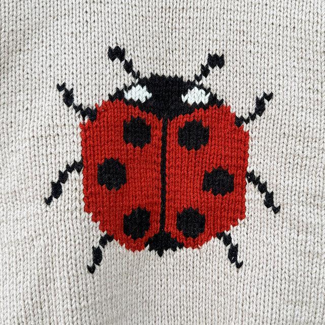 Kit de tricot - Ladybug Sweater par Knitting For Olive