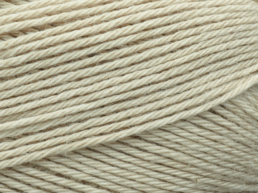622 Cashew
