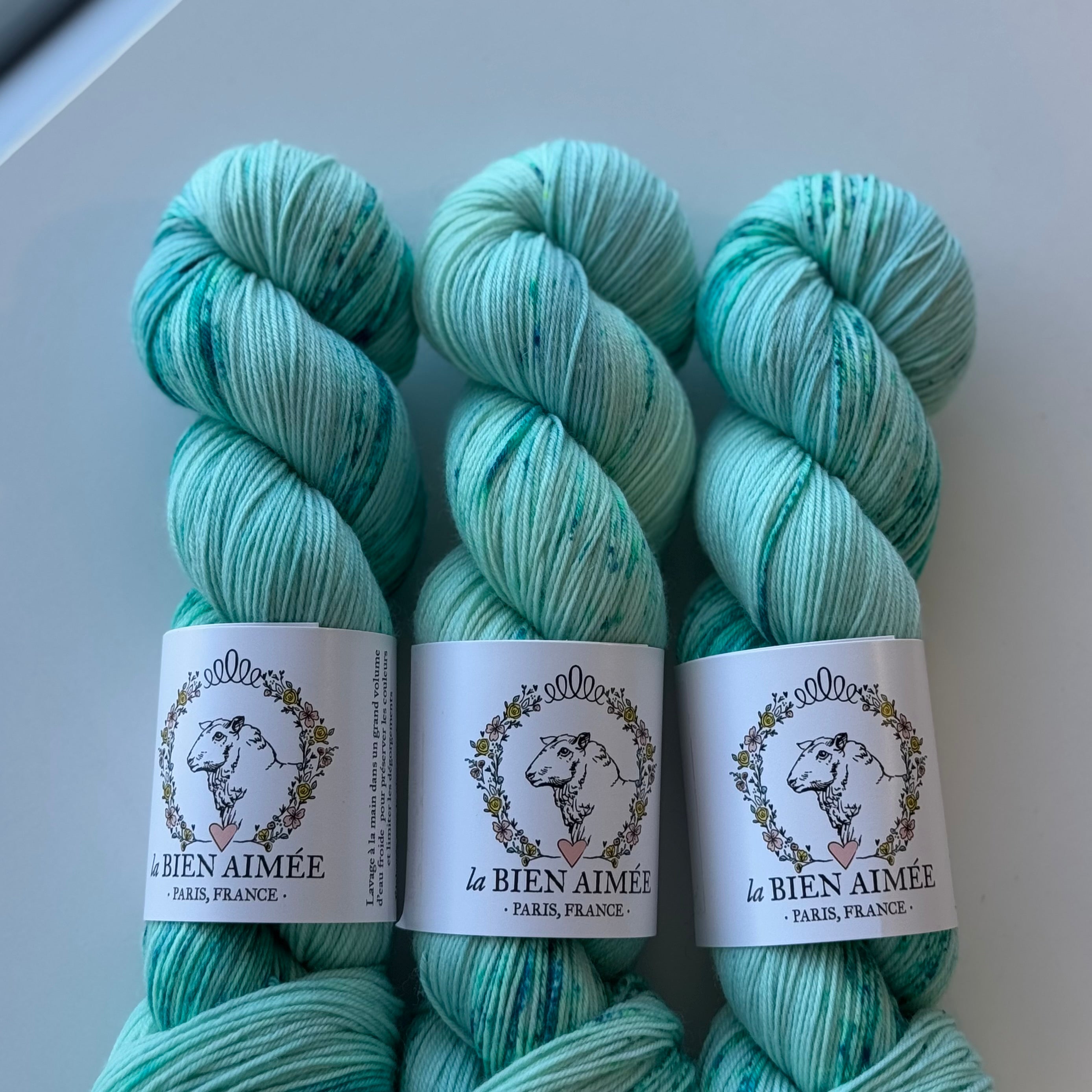 Super Sock Merino 100g - La Bien Aimée