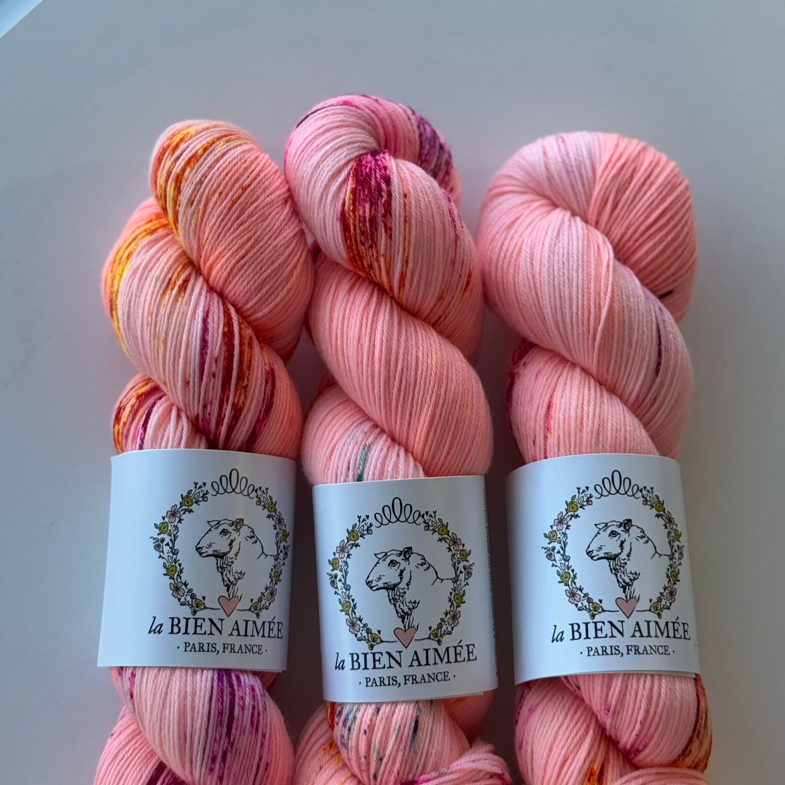 Super Sock Merino 100g - La Bien Aimée