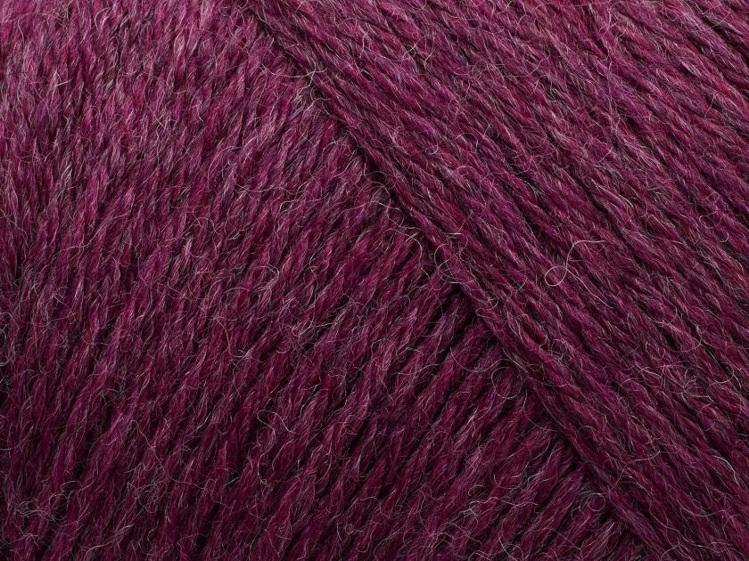 807 Boysenberry (melange)
