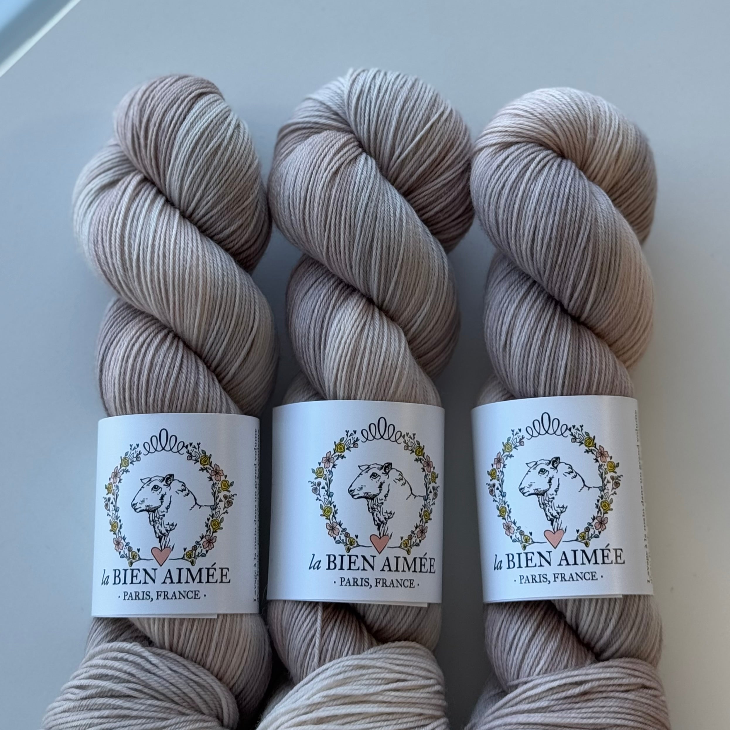 Super Sock Merino 100g - La Bien Aimée
