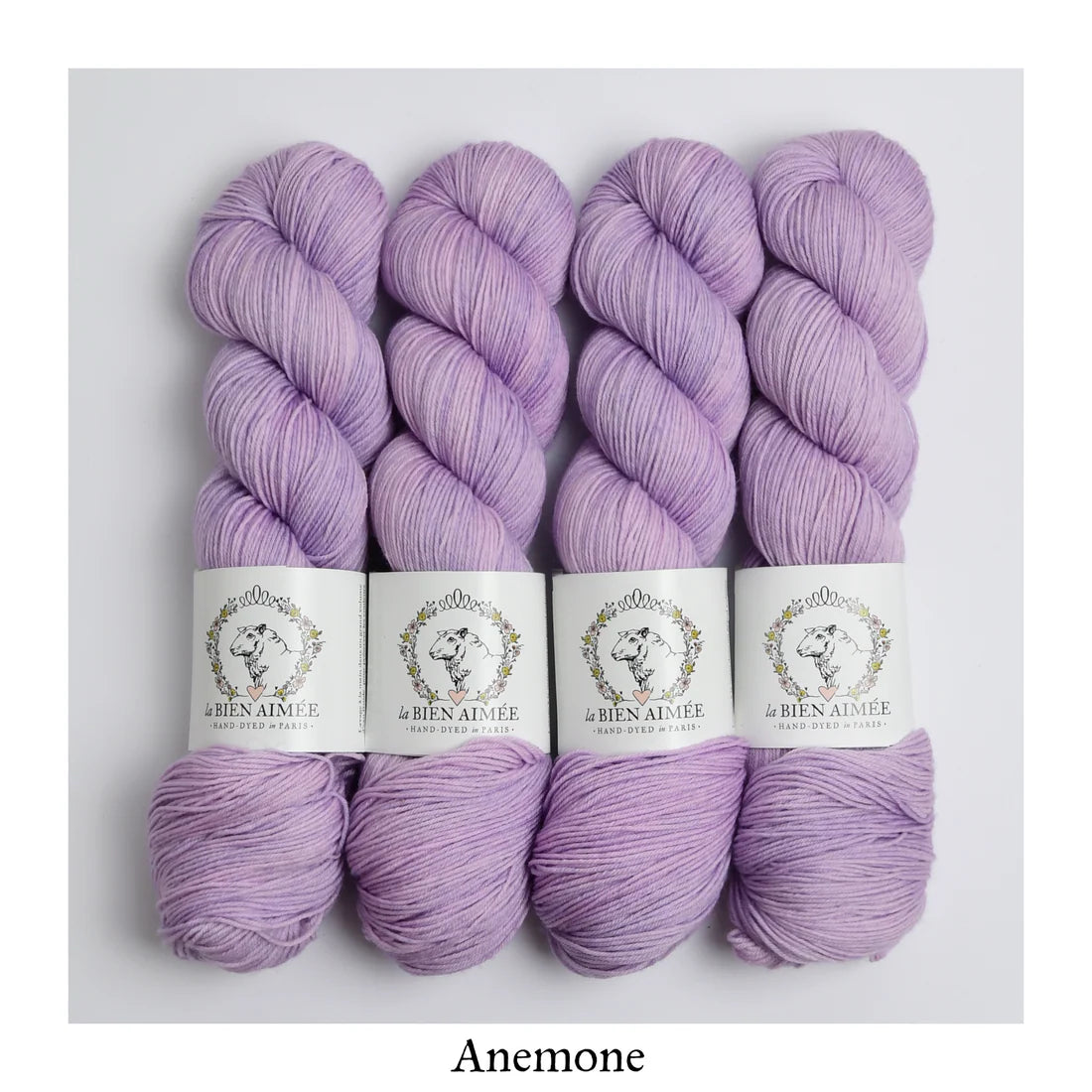 Super Sock Merino 100g - La Bien Aimée