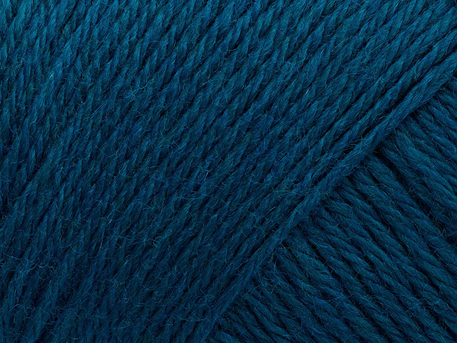 202 Teal