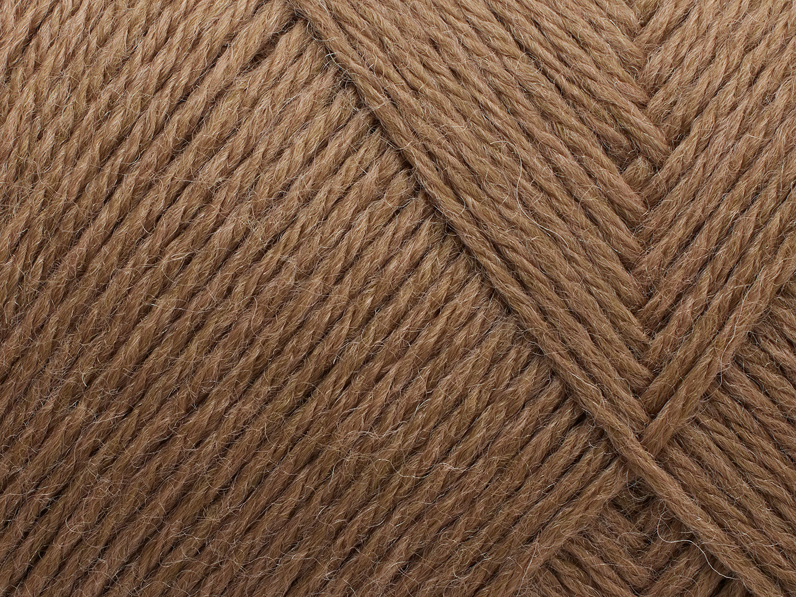 203 Camel