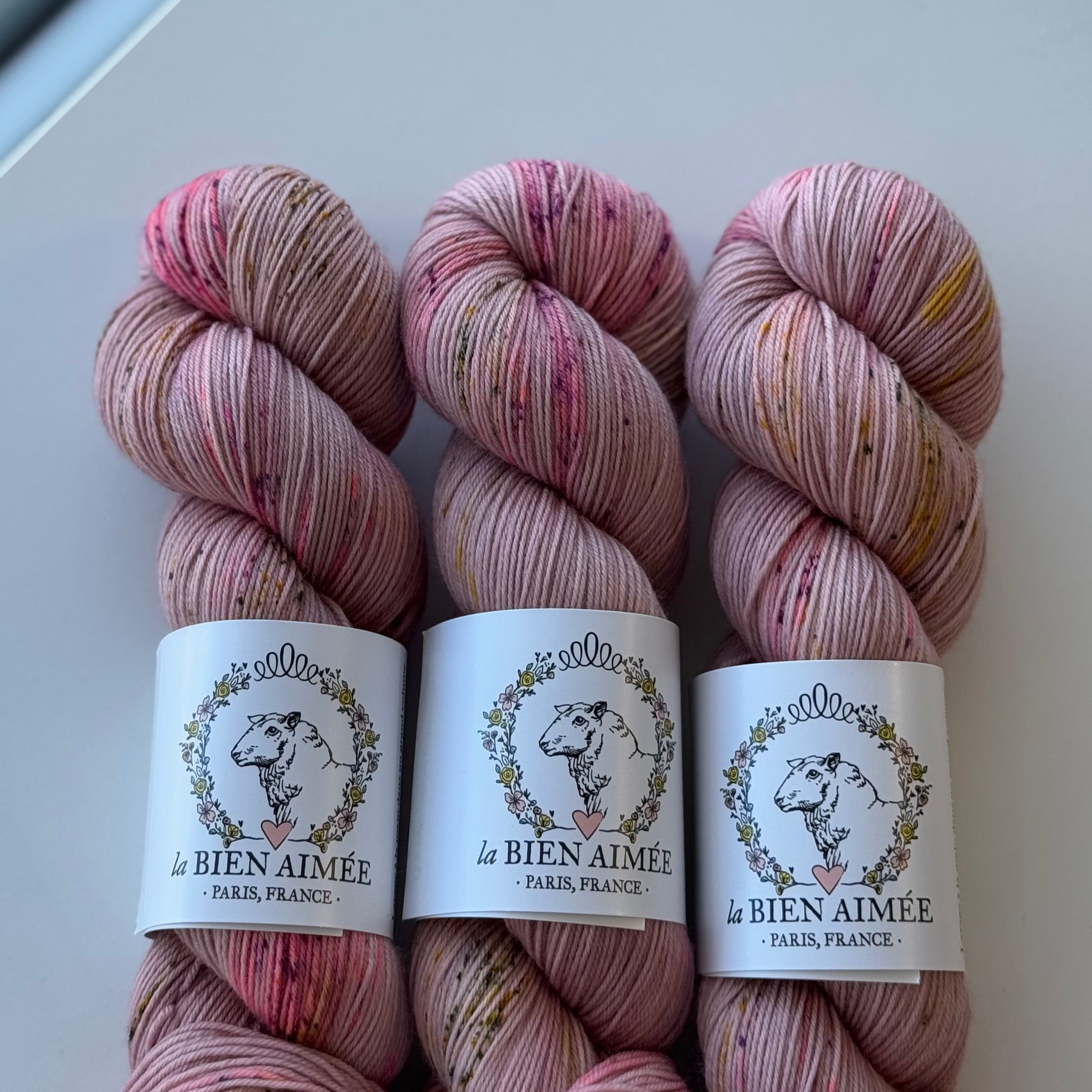 Super Sock Merino 100g - La Bien Aimée