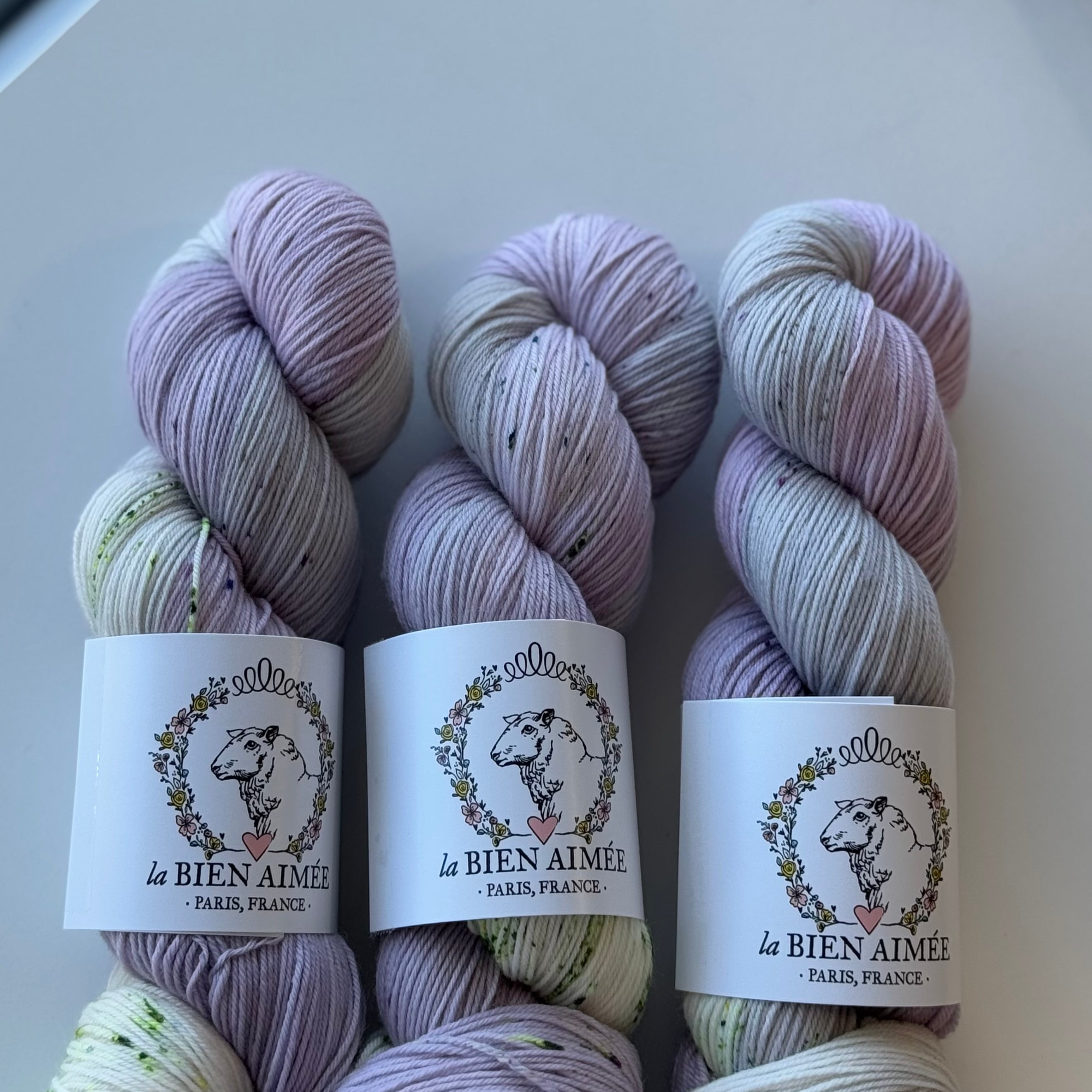 Super Sock Merino 100g - La Bien Aimée