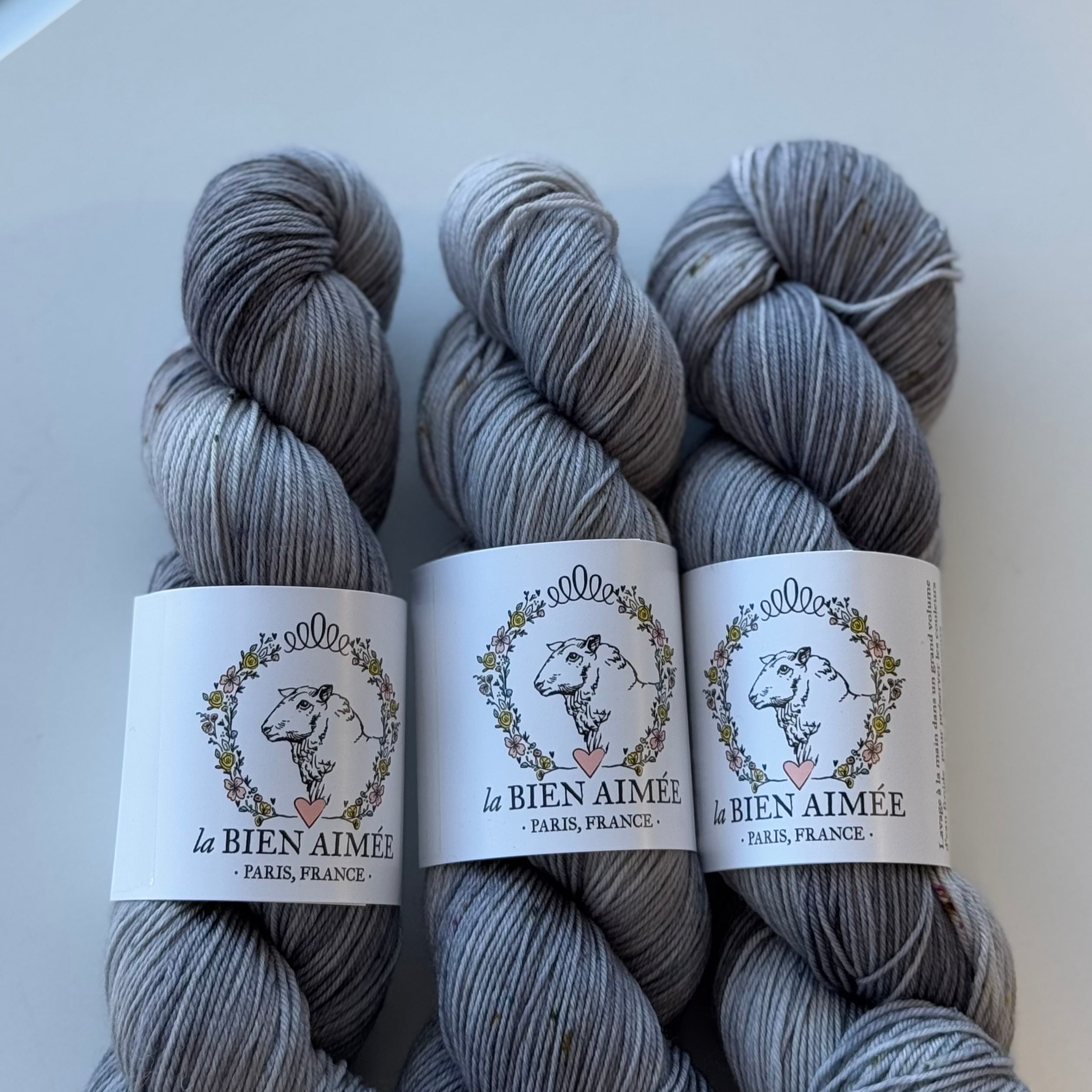 Super Sock Merino 100g - La Bien Aimée