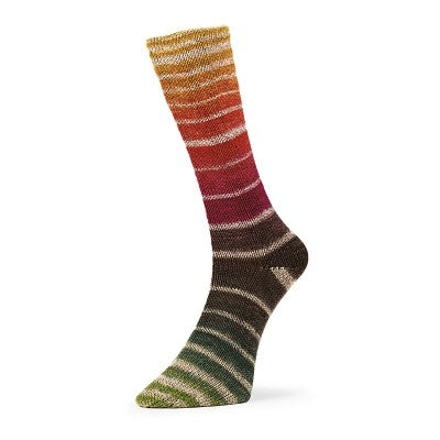 Evolution Aurora Matching Socks - Estelle