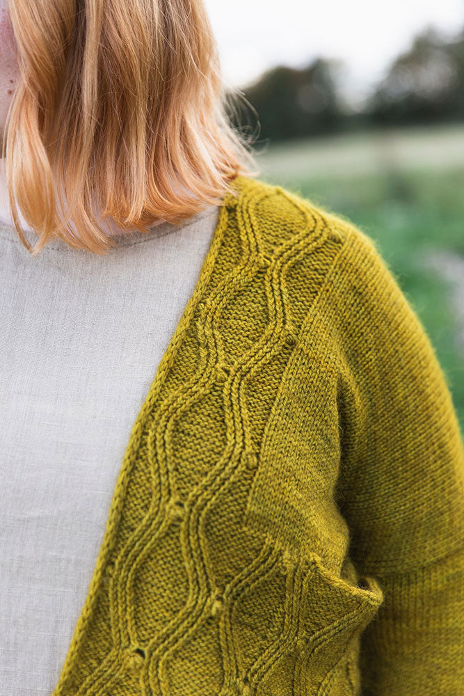 Worsted par Aimée Gilles - Livre Français