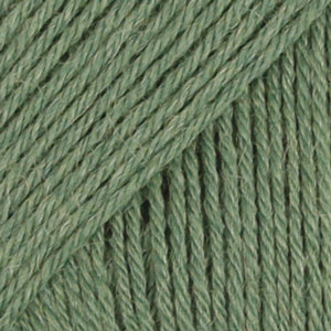 19 Olive