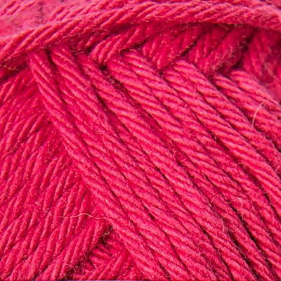 013 - Framboise