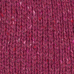14 - Sorbet aux Cerises