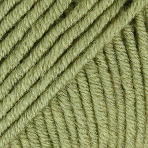 Olive - 13