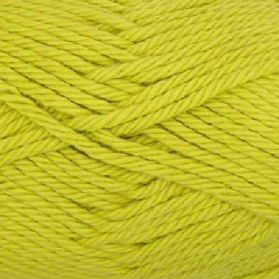 Avocado - Q53944