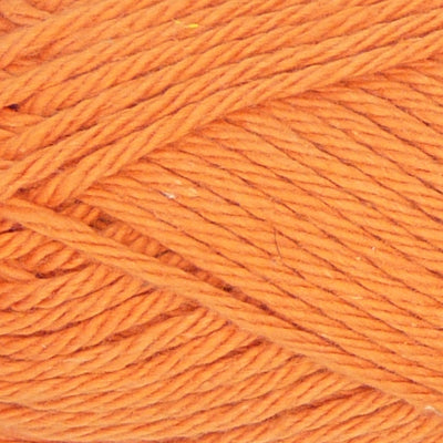 Carrot - Q53925