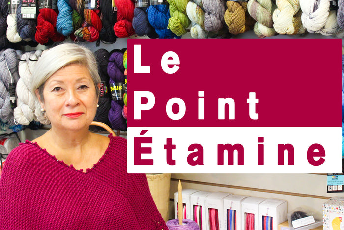 Comment réaliser le Point d'Étamine?