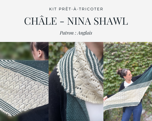 Nouveau Kit Prêt-à-tricoter!