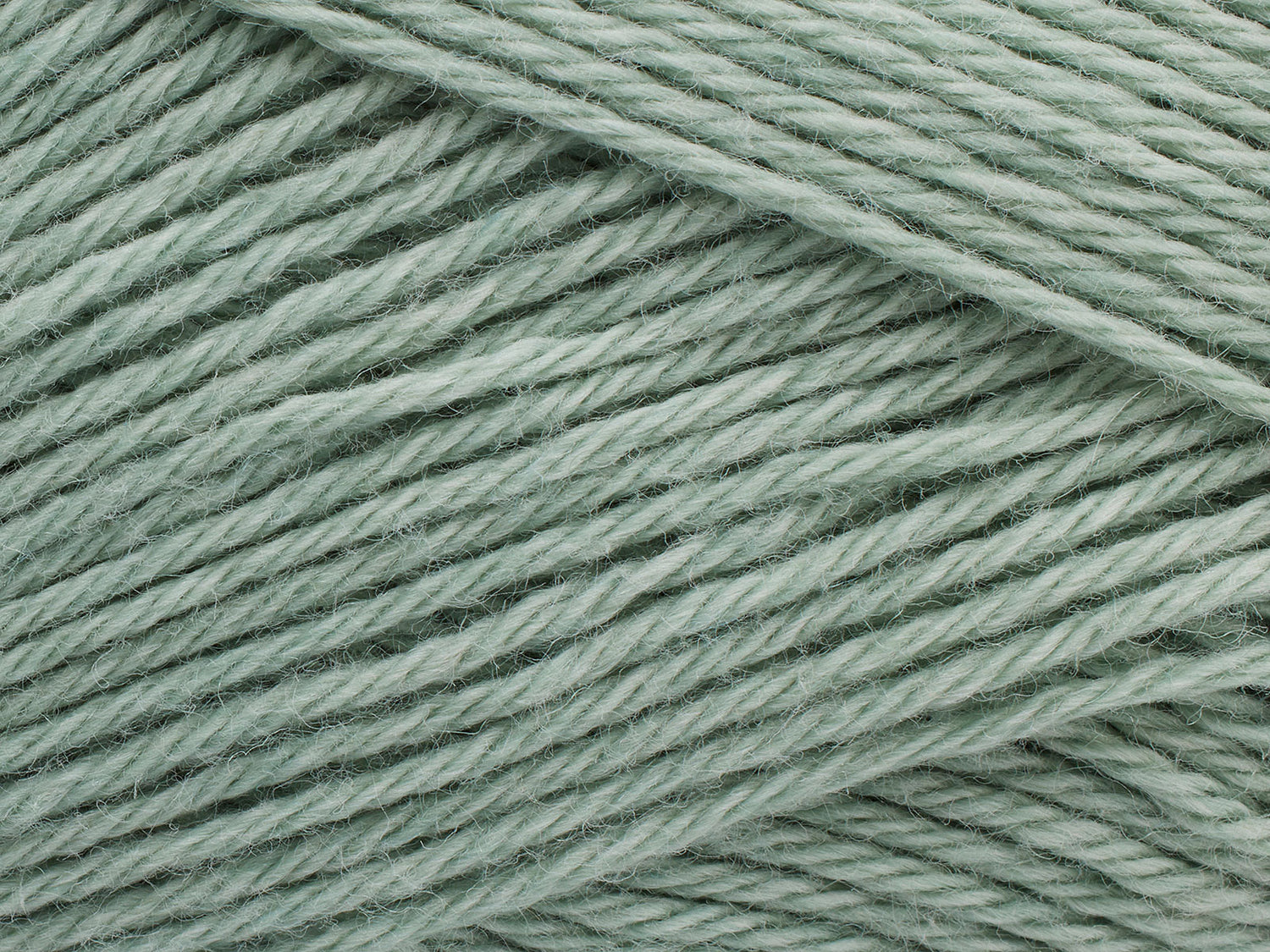 1390 Salvia