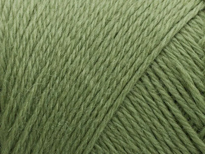 243 Basswood Green