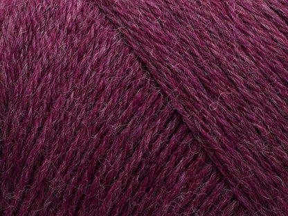 807 Boysenberry (melange)