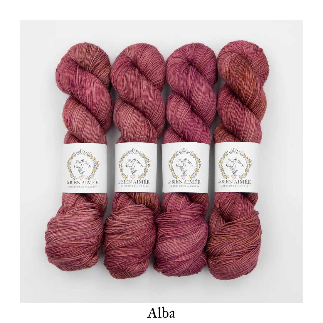 Super Sock Merino 100g - La Bien Aimée