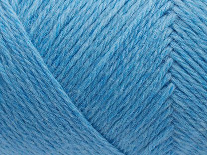 141 Alaskan Blue