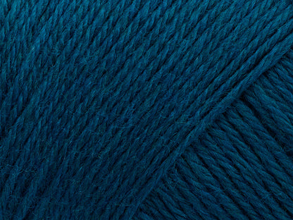 202 Teal