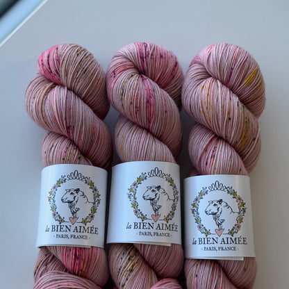 Super Sock Merino 100g - La Bien Aimée