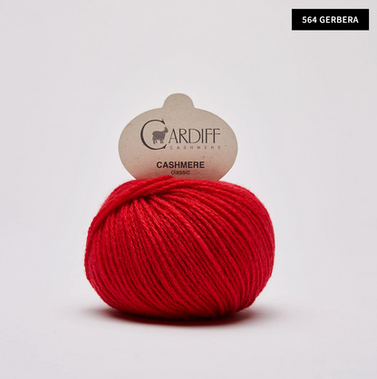 564 Gerbera