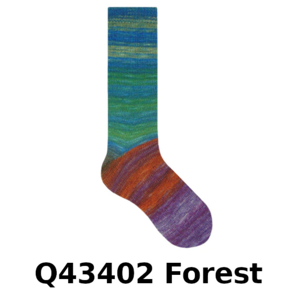 Q43402 Forest