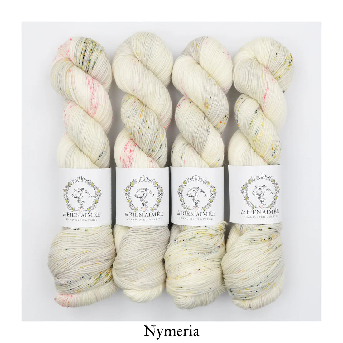Super Sock Merino 100g - La Bien Aimée