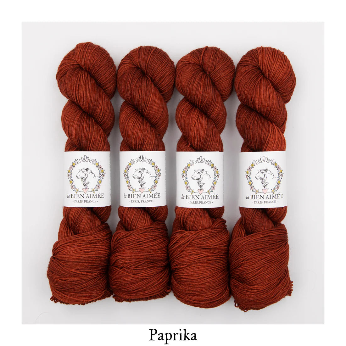 Super Sock Merino 100g - La Bien Aimée