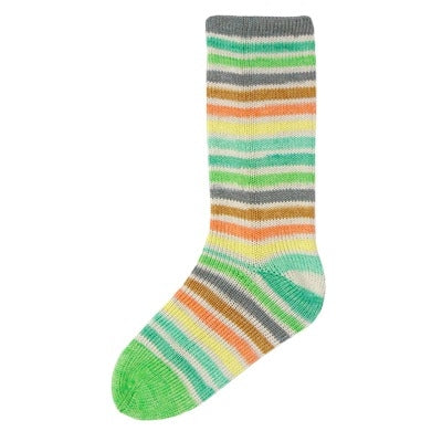 Evolution Cotton Sock – Estelle Yarns