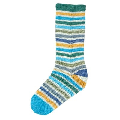 Evolution Cotton Sock – Estelle Yarns