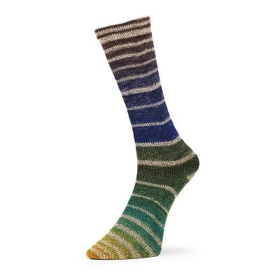 Evolution Aurora Matching Socks - Estelle