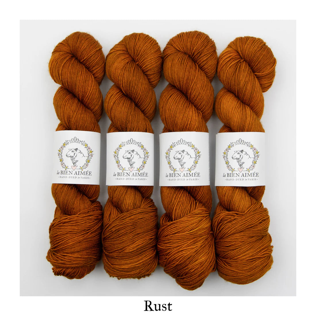 Super Sock Merino 100g - La Bien Aimée