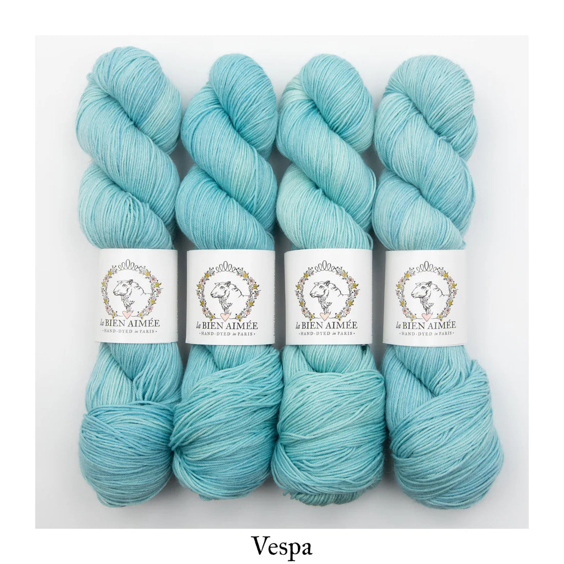 Super Sock Merino 100g - La Bien Aimée