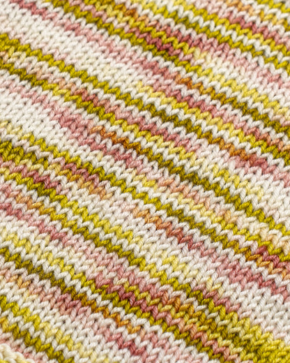 Sorbet