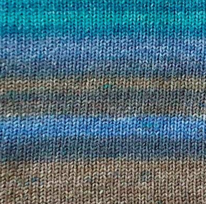 Q41507 Ocean