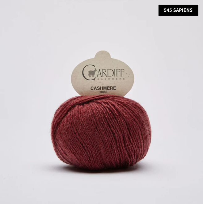 545 Sapiens