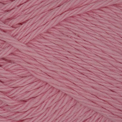 Cherry Blossom - Q53924