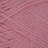 Cherry Blossom - Q53924