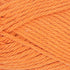 Carrot - Q53925
